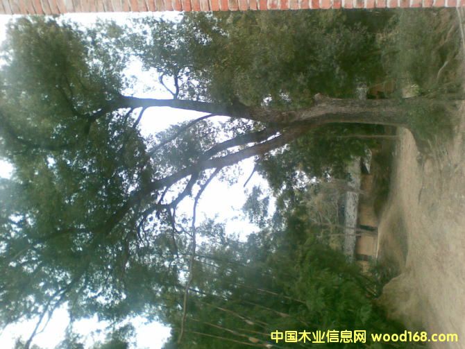 �c���鿴����Ŵ�DƬ