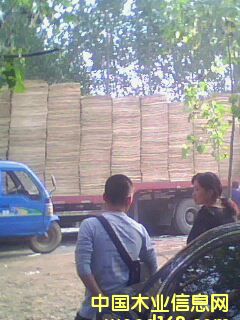 ��ľ�ΰ��Ԕ����B