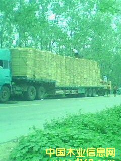 ��ľ�ΰ��Ԕ����B