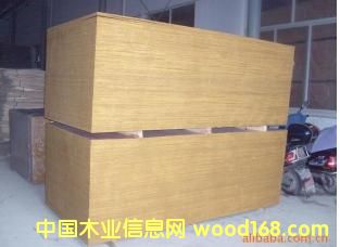 �x�͏S�ҬF�ṩ50�����۸ߙn���z��������Ԕ����B