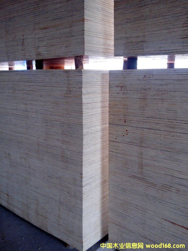 ����ģ���Ԕ����B