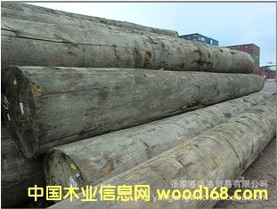 ������Ƭ�� ɽ��ԭľ ��� ľ�� (KAPA / KPXX)