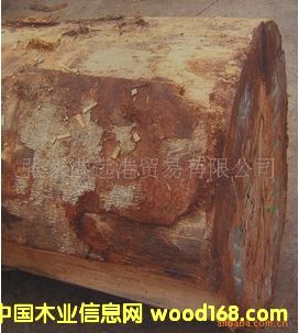 �����Sͩԭľ ľ�� ��� TRBU / EN