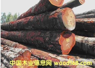 �����刺�� �ڂ���ԭľ ľ�� DIL /DL