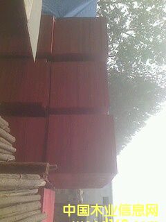 ľ�z���Ԕ����B