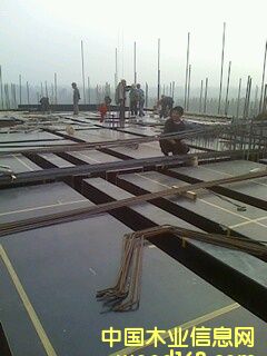 �ɹ�����