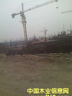 �ɹ�����