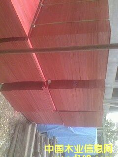 ľ�z���Ԕ����B