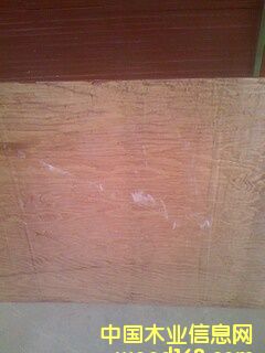 �Ӱ��Ԕ����B