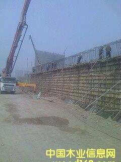 �ɹ�����