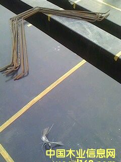 �ɹ�����