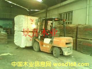 ��ϲľ�I�һ�о�ΰ��Ԕ����B