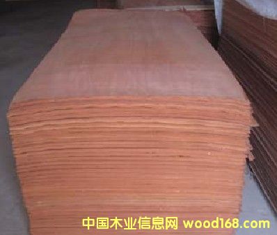 ����ɳ����ľƤ��Ԕ����B