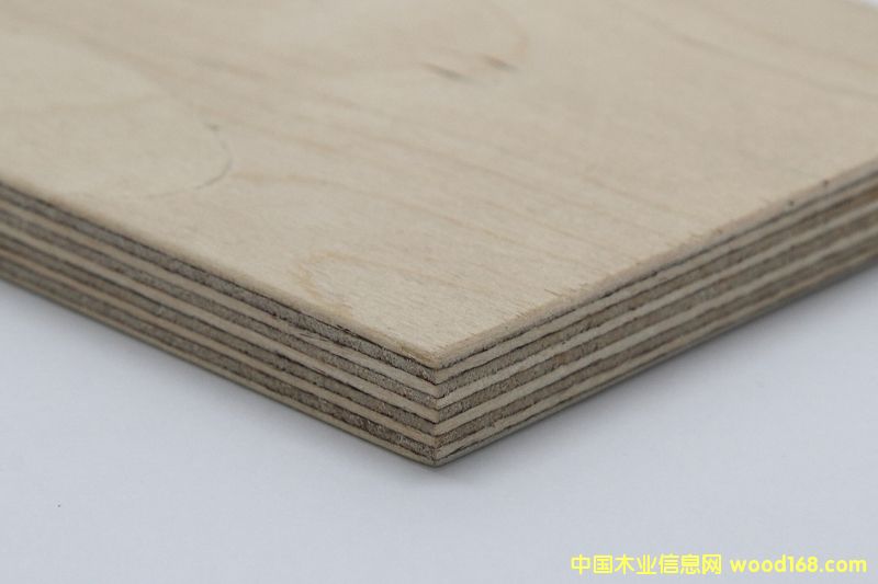 ȫ��ľ�z�ϰ�18��Ԕ����B