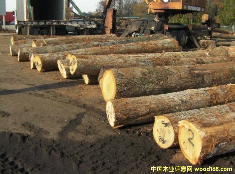 ��������ԭľ��Ԕ����B