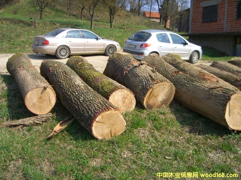 �����r����ԭľ��Ԕ����B