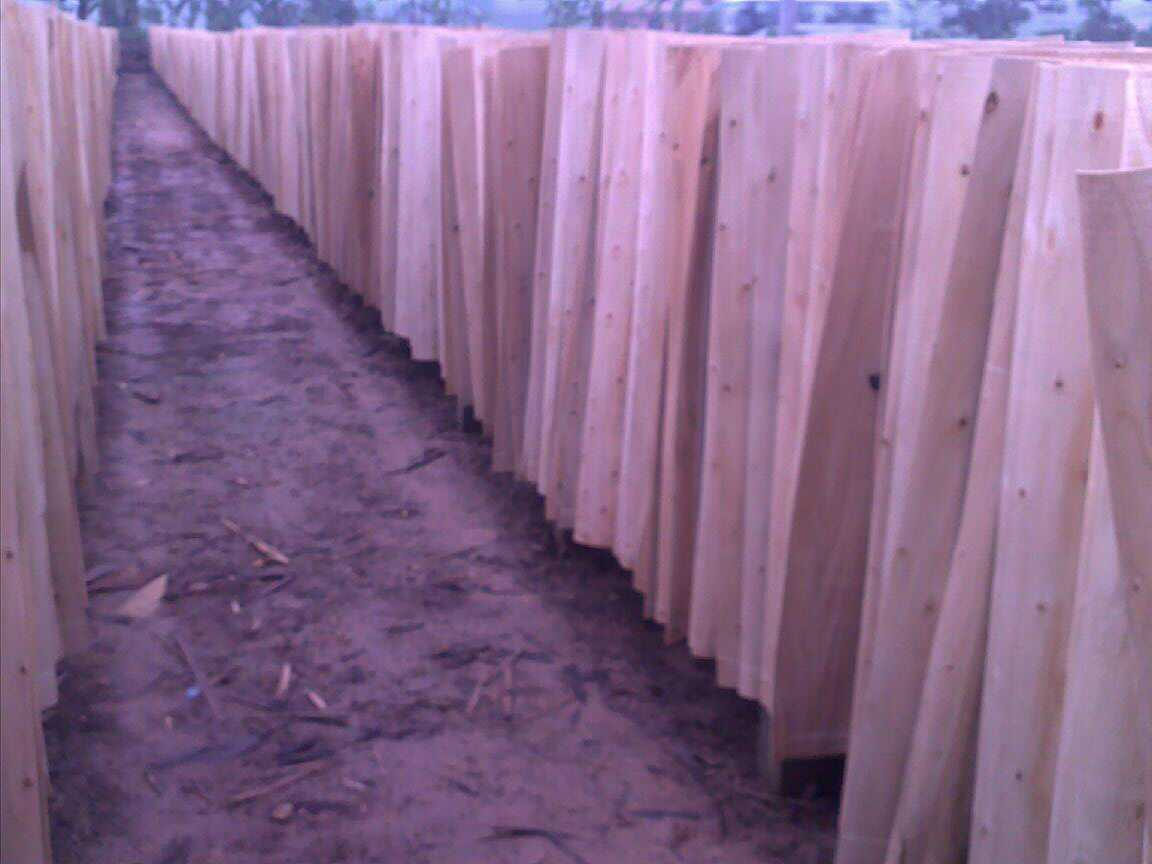 һ����ľ�ΰ��Ԕ����B