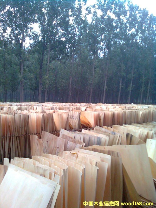 ��ľ�ΰ��Ԕ����B