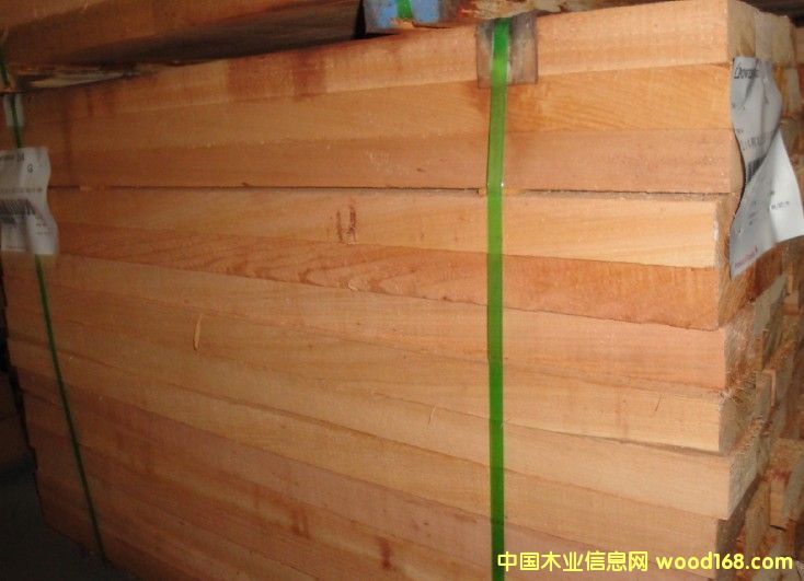 �tѩ�������t�ر����ĵ�Ԕ����B