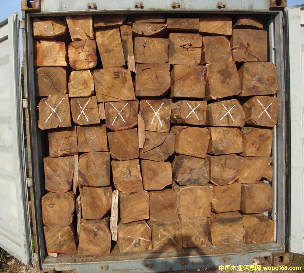 �����S�����Ԕ����B