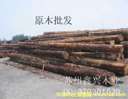 ȺӢľ�I(y��)��Ԕ��(x��)��B