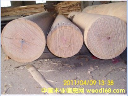 ���|�z��ľ�ΰ��Ԕ����B