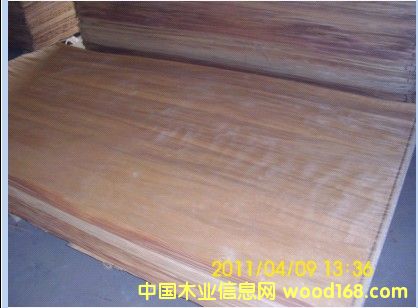 ���|�z��ľ�ΰ��Ԕ����B