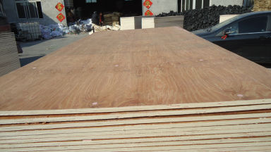 ����ģ���Ԕ����B