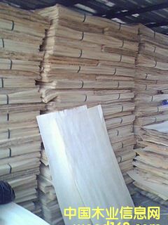 ��ľ�ΰ��Ԕ��(x��)��B