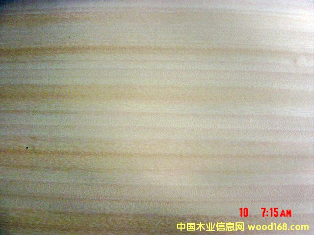 CHENCHEN��Ԕ����B