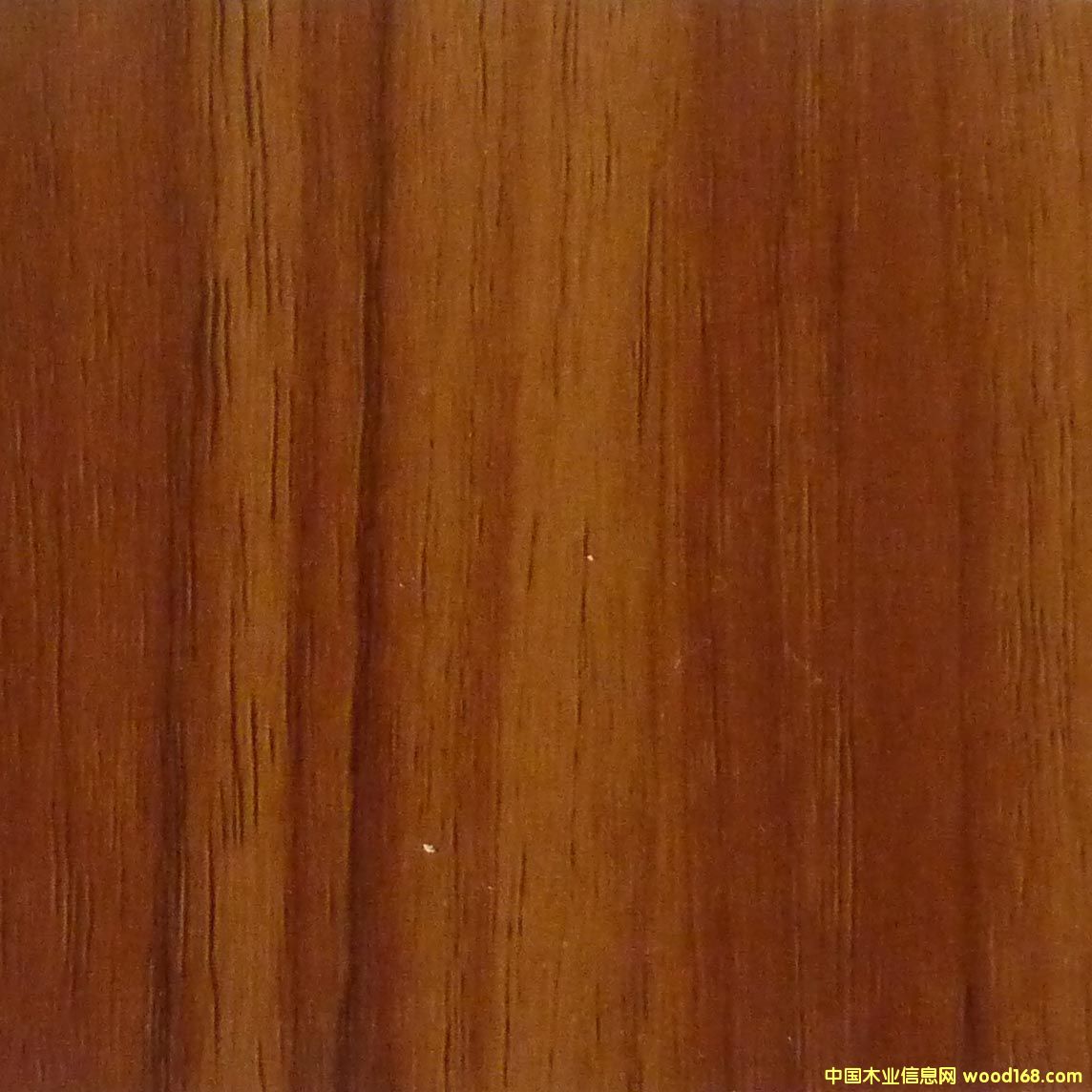 �z�ϰ��Ԕ����B