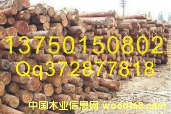 ԭľ��Ԕ��(x��)��B