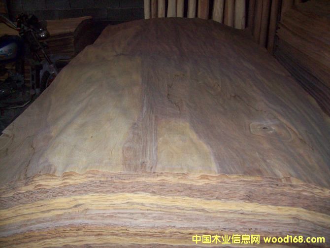 ������Ƥ��Ԕ����B