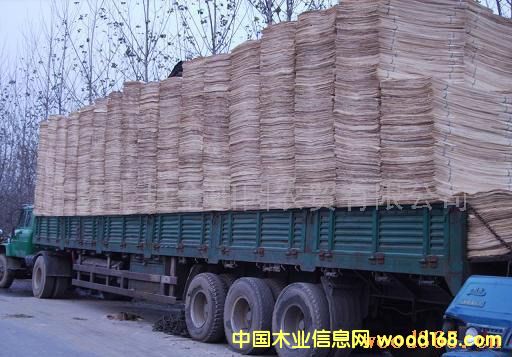 ��ľƤ�ӵ�Ԕ����B