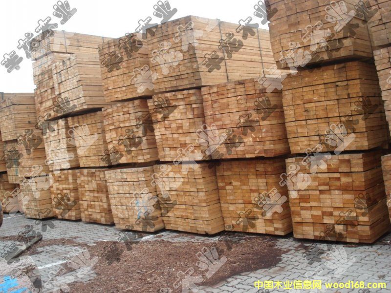 ���~��Ҏ����