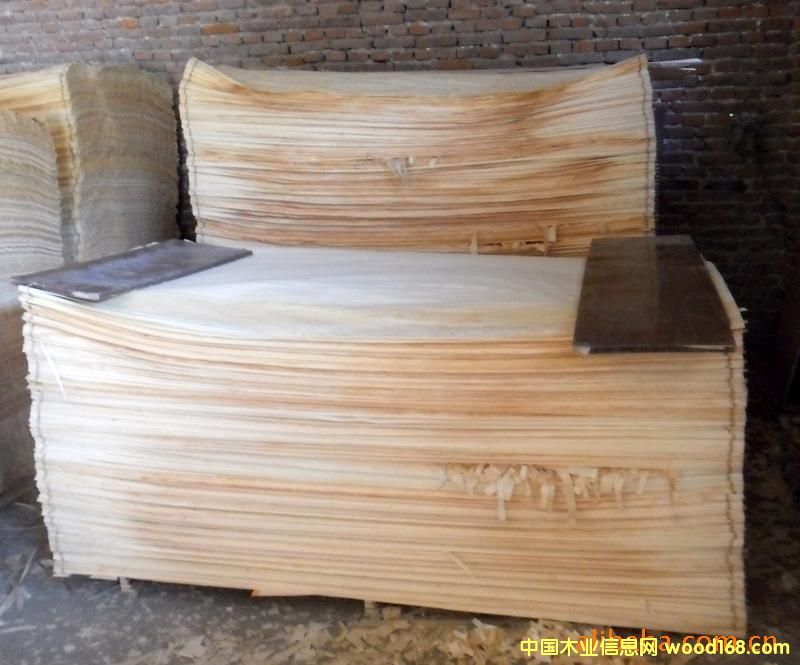 ��������Ƥ��Ԕ����B