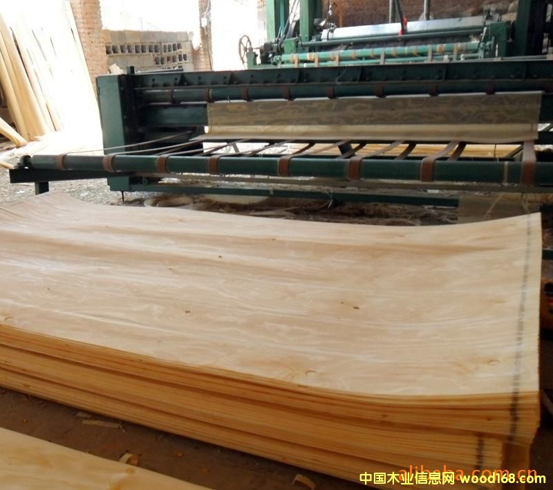 ��������Ƥ2��Ԕ����B