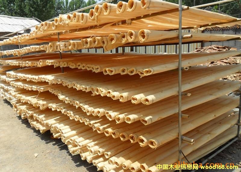 ��������Ƥ1��Ԕ����B