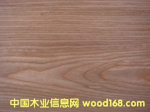 �Ƽ�ľƤ  ����ľ