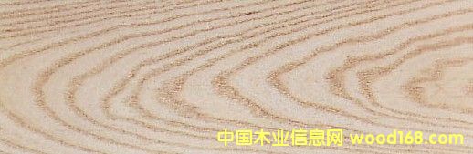 �c���鿴����ˮ���� White Ash�Ŵ�DƬ