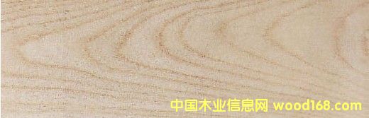 �c���鿴��ľ����ȸľ Hackberry�Ŵ�DƬ