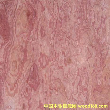 �ߙn��ȻľƤ�����Ԕ����B