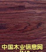 �ߙn��ȻľƤ�����Ԕ����B