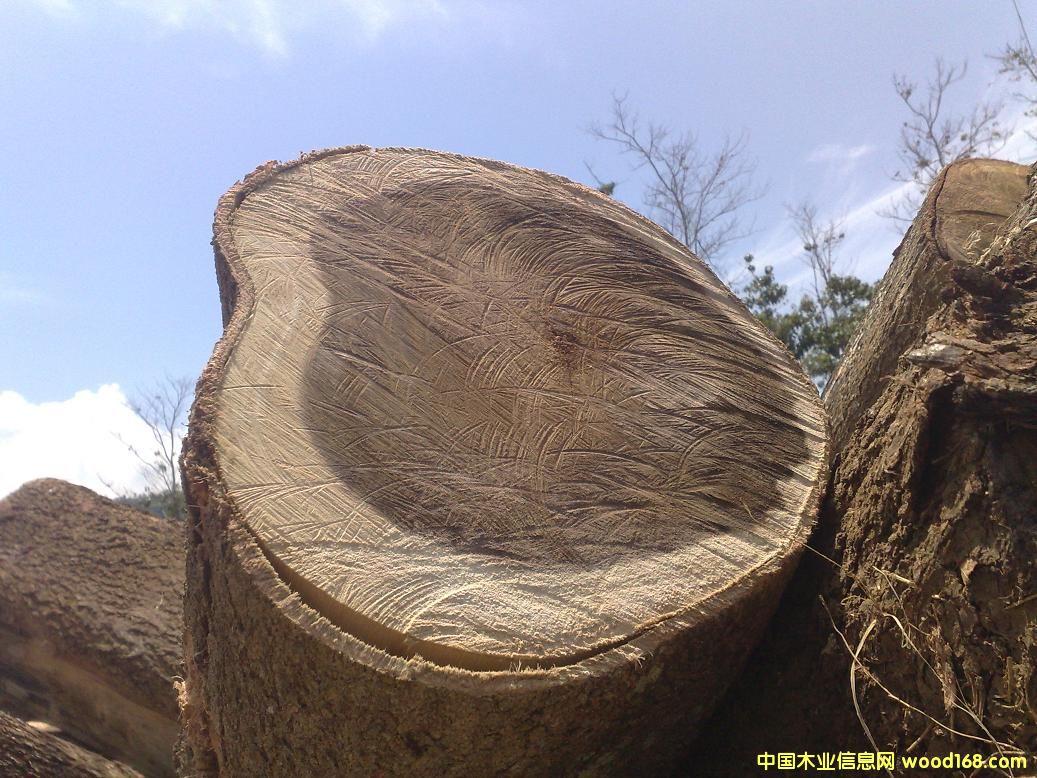 [��] ������˼ľ