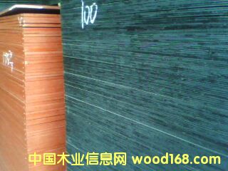 ����ģ���Ԕ����B