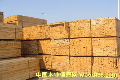 ����ģ�塢��ľ��Ԕ����B