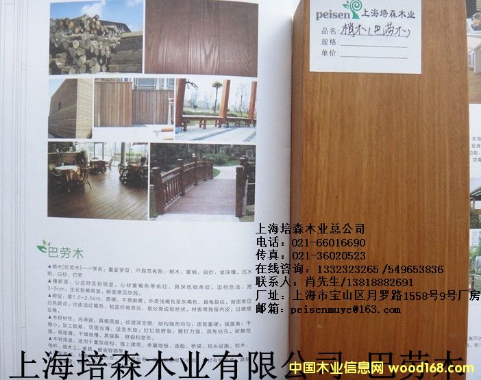 �̈́�ľ��1��Ԕ��(x��)��B