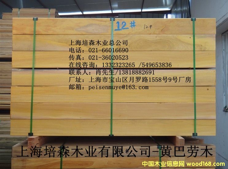 �̈́�ľ��Ԕ��(x��)��B