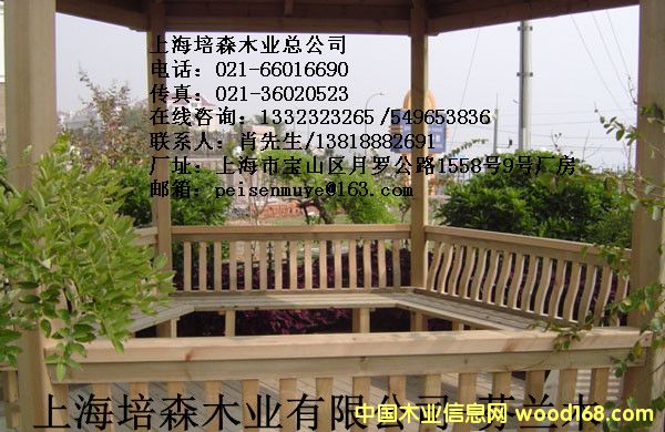 ���mľ-���mľ����ľ