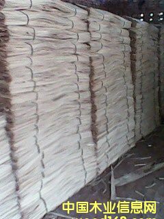 1.1��ľ�ΰ��Ԕ����B